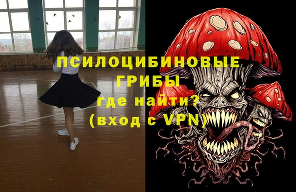 дживик Мегион