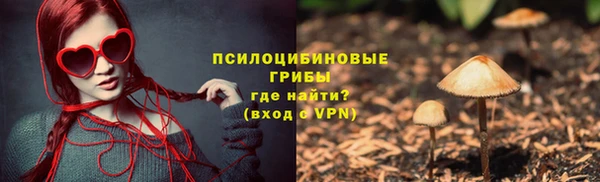 Альфа ПВП Медвежьегорск
