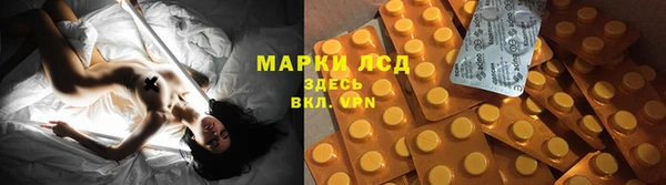 Альфа ПВП Медвежьегорск
