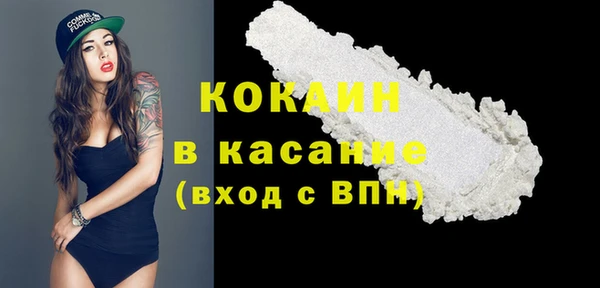 дживик Мегион