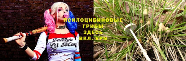 Альфа ПВП Медвежьегорск