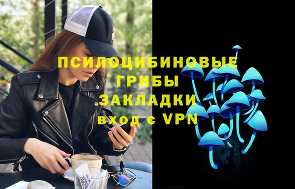 дживик Мегион