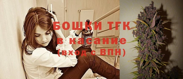 дживик Мегион